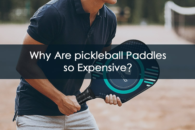 Why Are Pickleball Paddles so Expensive